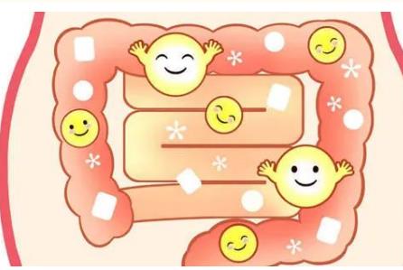 益生菌&乳鐵蛋白，完美護(hù)腸搭檔，增強(qiáng)免疫力，為寶寶健康保駕護(hù)航！